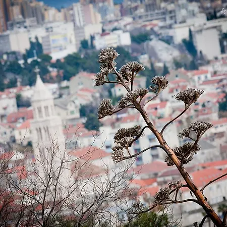 Apartmán Genius Loci *